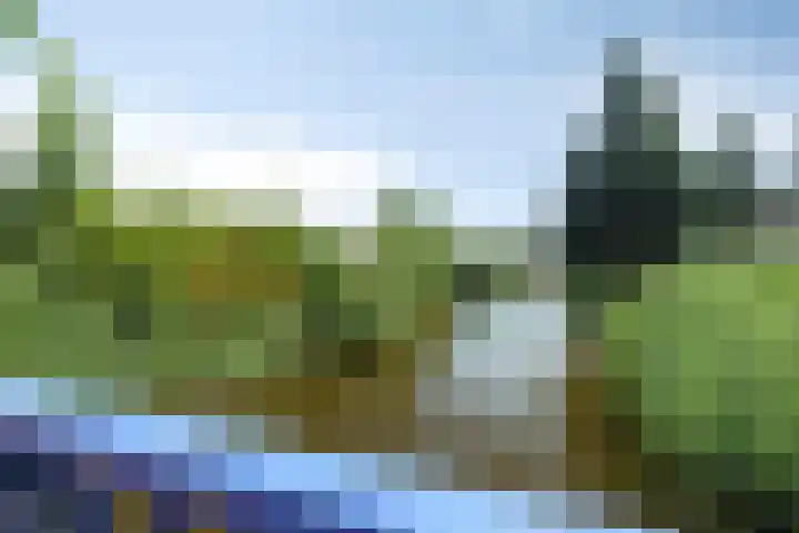 Van Beethovenlaan 79 Capelle aan den IJssel thumbnail 31