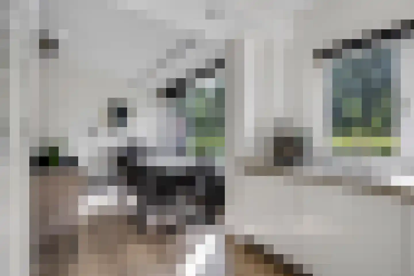 Van Beethovenlaan 79 Voorschoten thumbnail 13