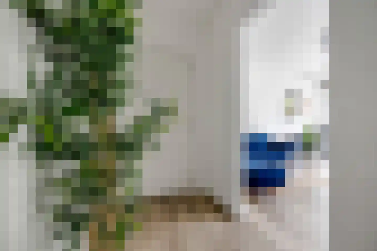 Van Beethovenlaan 79 Voorschoten thumbnail 5