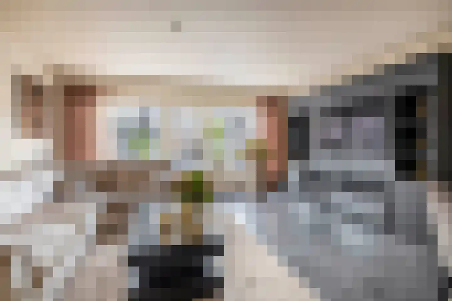 Van Beethovenlaan 81 Capelle aan den IJssel thumbnail 8