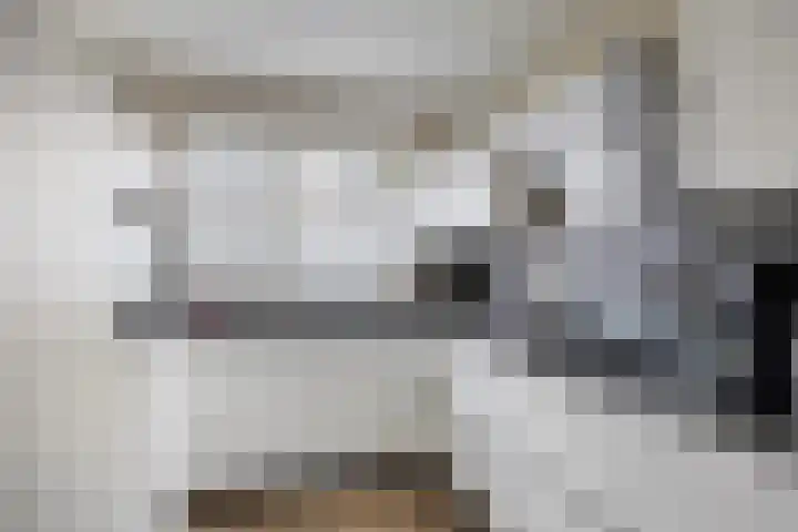 Van Beethovenlaan 89 Capelle aan den IJssel thumbnail 10