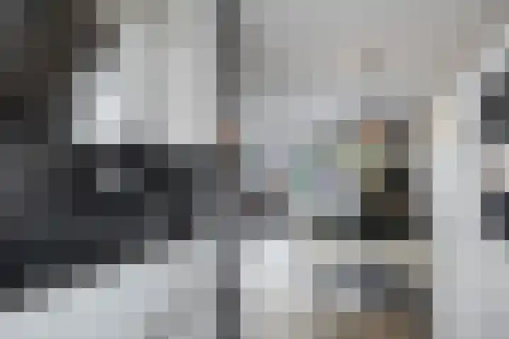 Van Beethovenlaan 89 Capelle aan den IJssel thumbnail 12