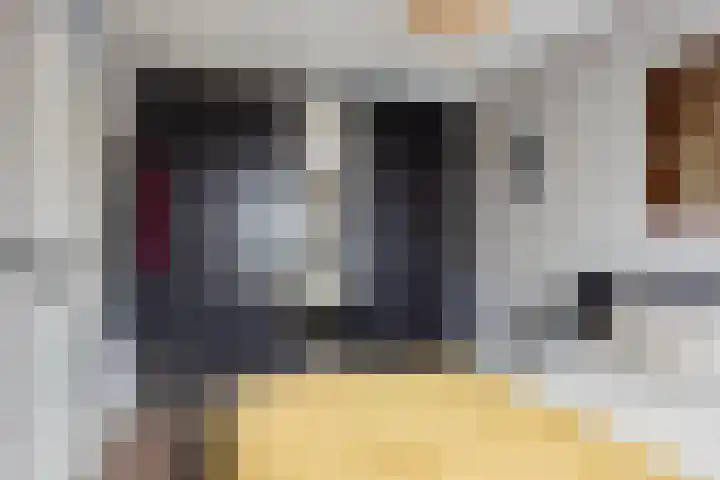 Van Beethovenlaan 89 Capelle aan den IJssel thumbnail 15