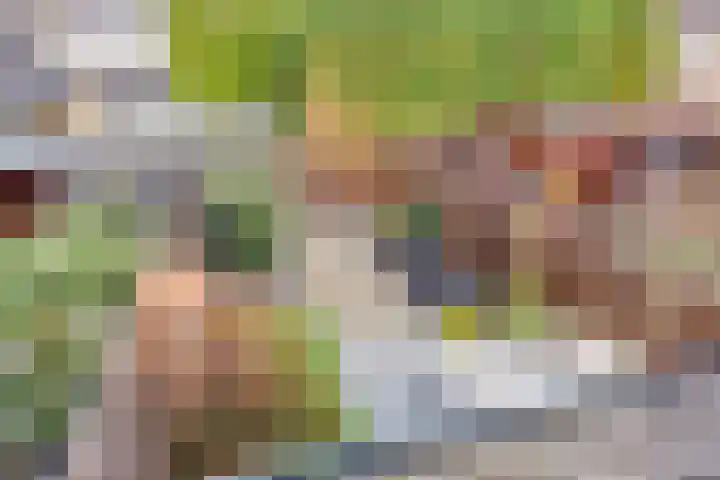 Van Beethovenlaan 89 Capelle aan den IJssel thumbnail 17