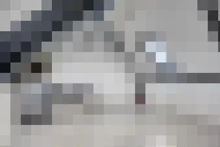 Van Beethovenlaan 89 Capelle aan den IJssel thumbnail 22