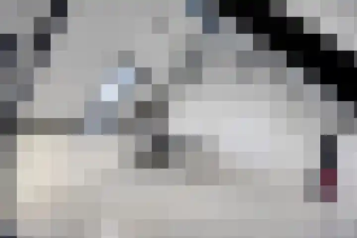 Van Beethovenlaan 89 Capelle aan den IJssel thumbnail 23