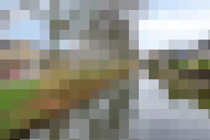 Van Beethovenlaan 89 Capelle aan den IJssel thumbnail 32