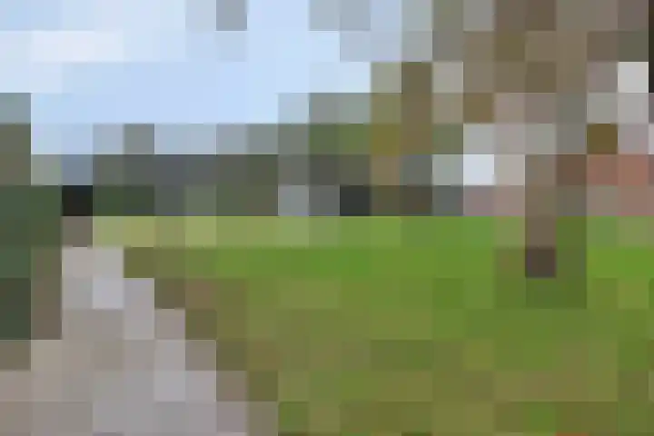 Van Beethovenlaan 89 Capelle aan den IJssel thumbnail 34
