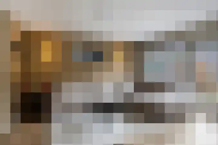 Van Beethovenlaan 89 Capelle aan den IJssel thumbnail 8
