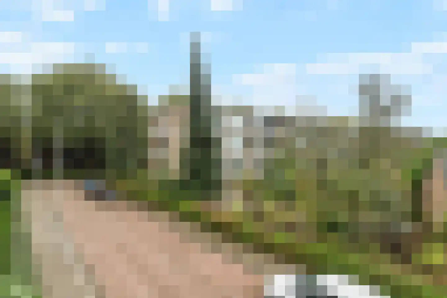 Van Beethovenlaan 9 Rotterdam thumbnail 12