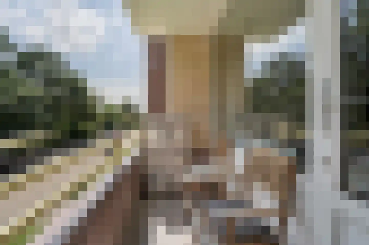 Van Beethovenlaan 97 Voorschoten thumbnail 17