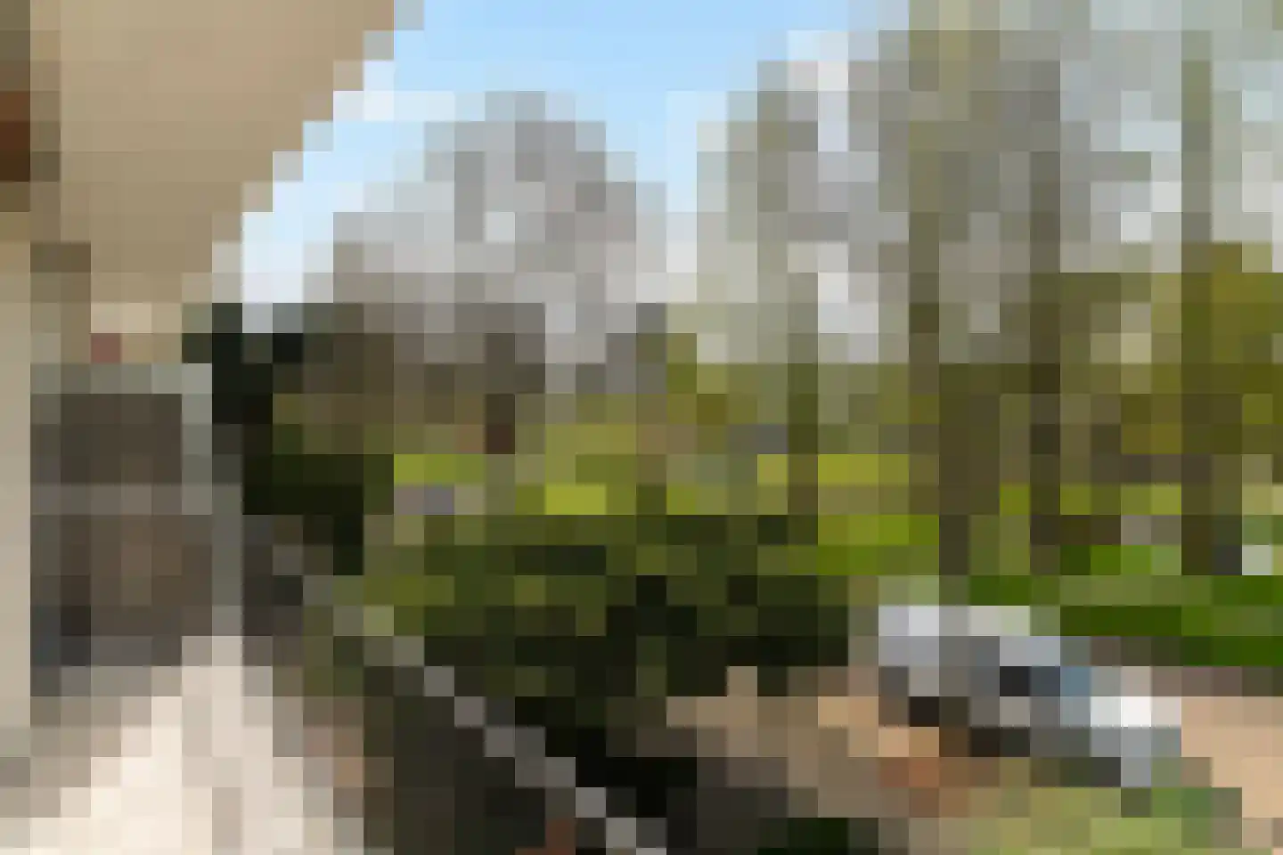Van Beethovensingel 110 Rotterdam thumbnail 5