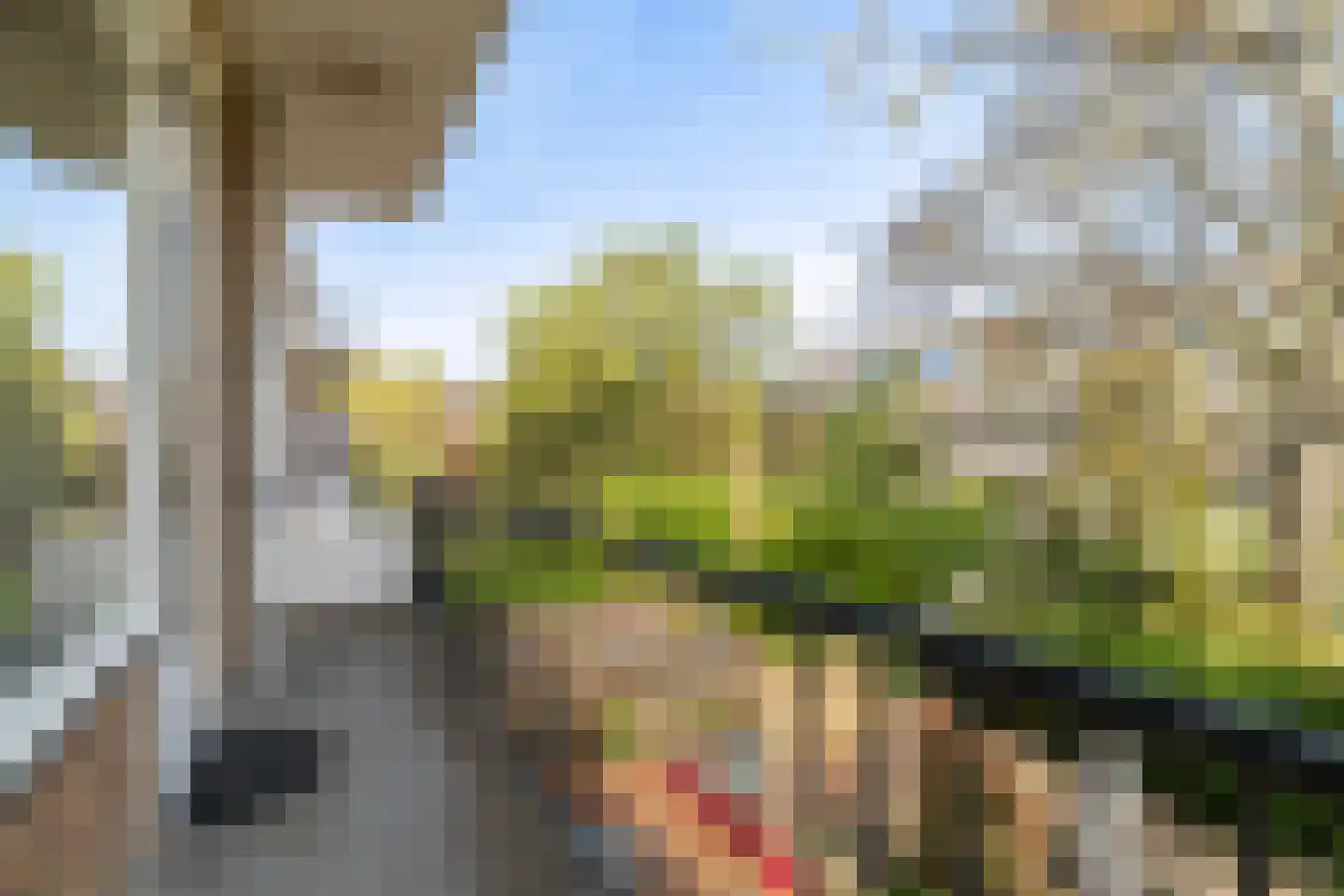 Van Beethovensingel 110 Rotterdam thumbnail 8