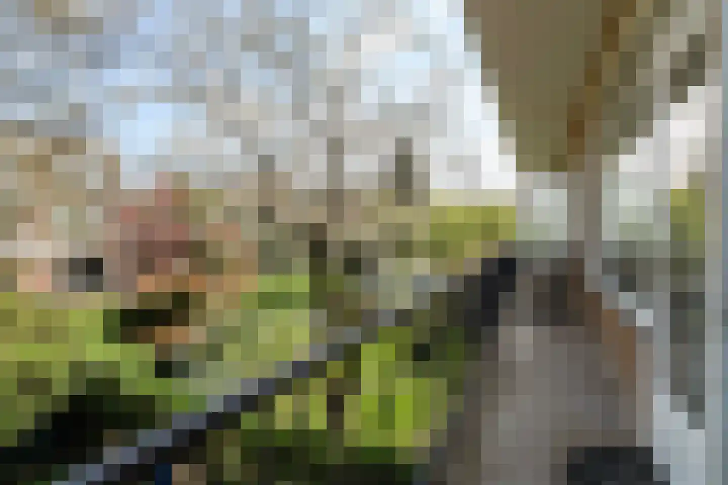 Van Beethovensingel 110 Rotterdam thumbnail 9
