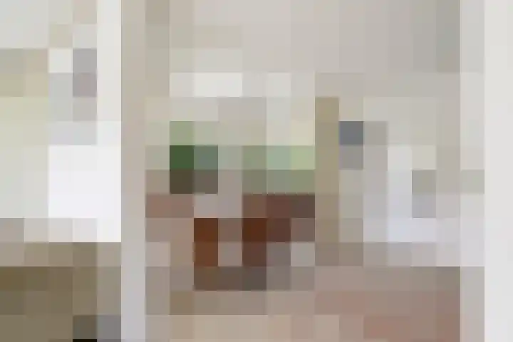 Van Beethovensingel 12 Barendrecht thumbnail 21