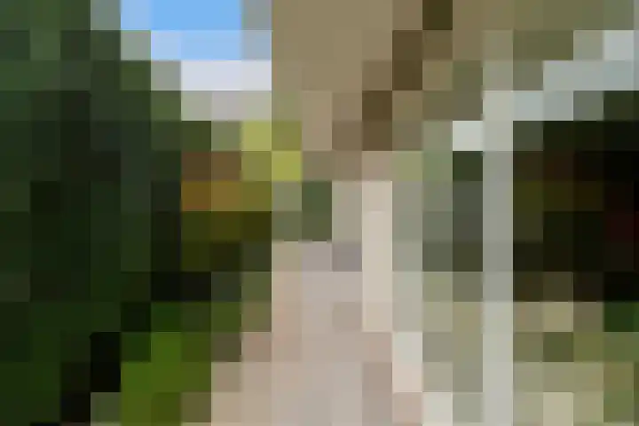Van Beethovensingel 12 Barendrecht thumbnail 5