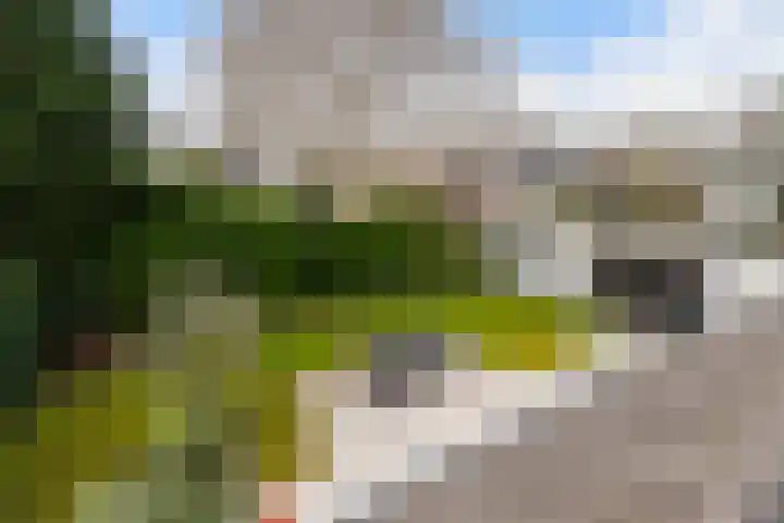 Van Beethovensingel 12 Barendrecht thumbnail 53