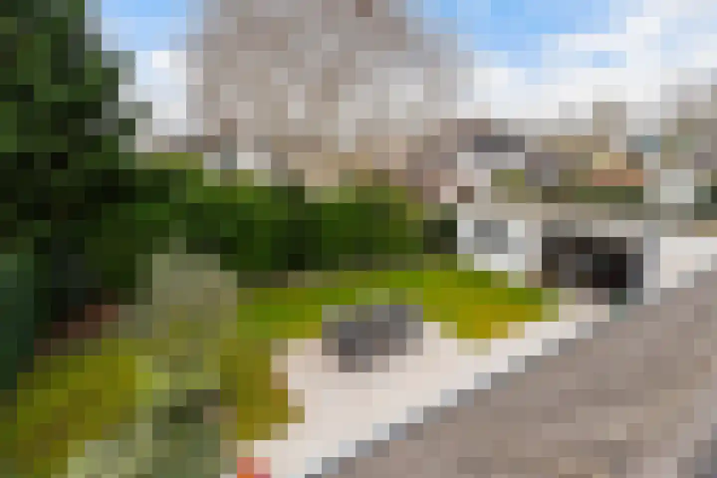 Van Beethovensingel 12 Barendrecht thumbnail 53