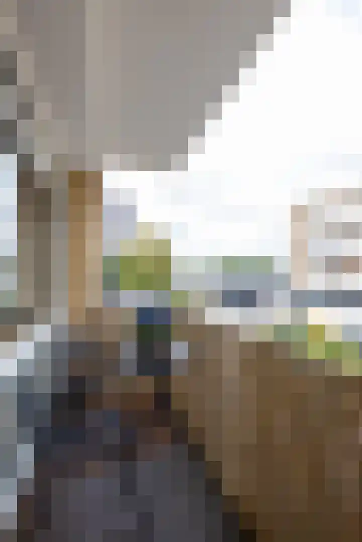 Van Beethovensingel 24 B Rotterdam thumbnail 15