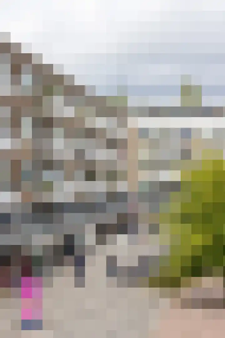 Van Beethovensingel 24 B Rotterdam thumbnail 16