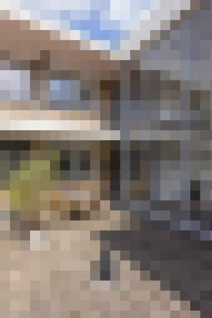 Van Beethovensingel 24 B Rotterdam thumbnail 6
