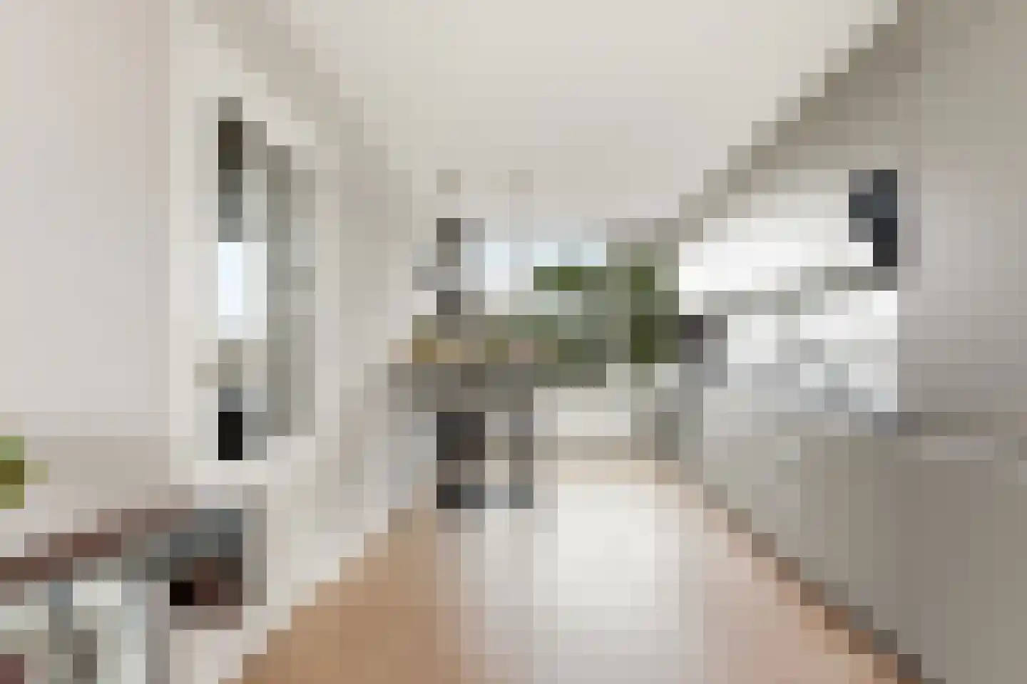 Van Beethovensingel 25 Rotterdam thumbnail 19