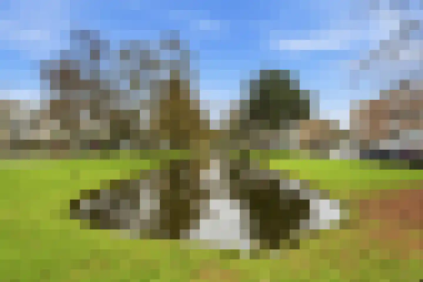 Van Beethovensingel 25 Rotterdam thumbnail 33