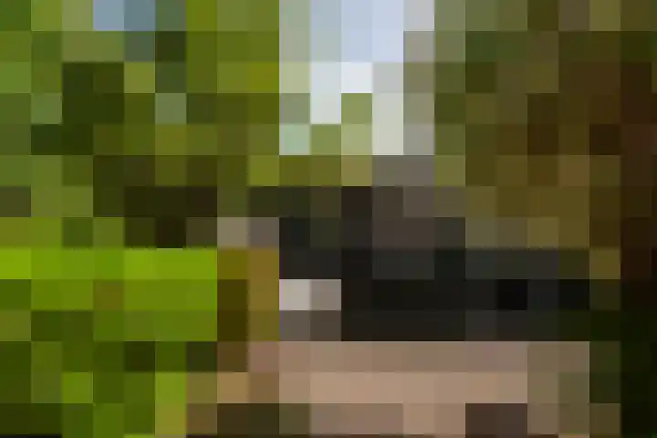 van Beethovensingel 51 Vlaardingen thumbnail 16