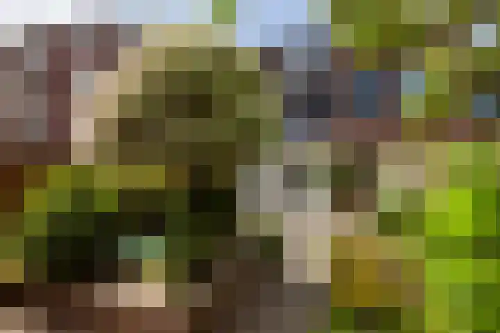 van Beethovensingel 51 Vlaardingen thumbnail 21