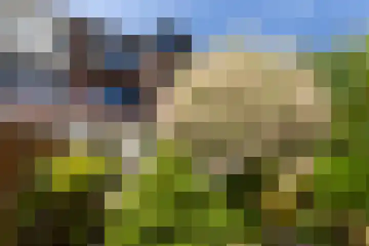 van Beethovensingel 51 Vlaardingen thumbnail 22