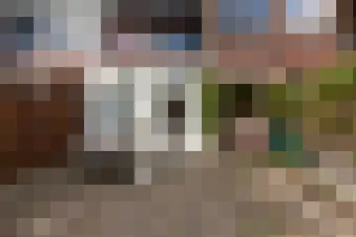 van Beethovensingel 51 Vlaardingen thumbnail 23