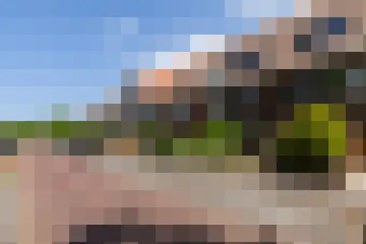 van Beethovensingel 51 Vlaardingen thumbnail 4