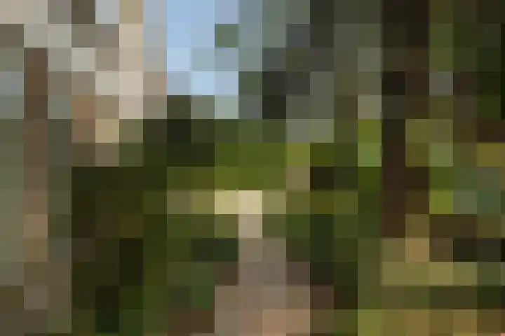 Van Beethovensingel 6 Barendrecht thumbnail 39