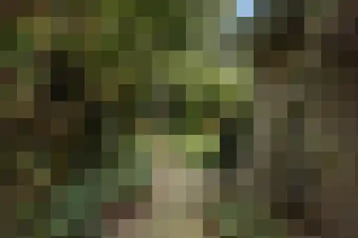 Van Beethovensingel 6 Barendrecht thumbnail 41