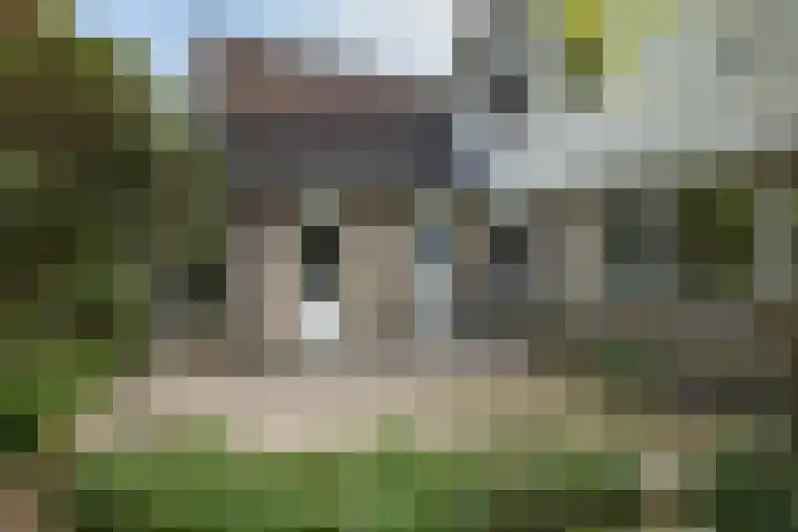 Van Beethovensingel 6 Barendrecht thumbnail 42