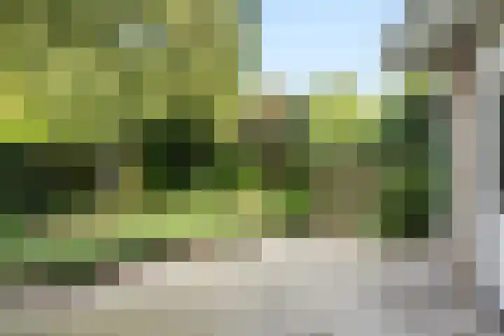 Van Beethovensingel 6 Barendrecht thumbnail 47
