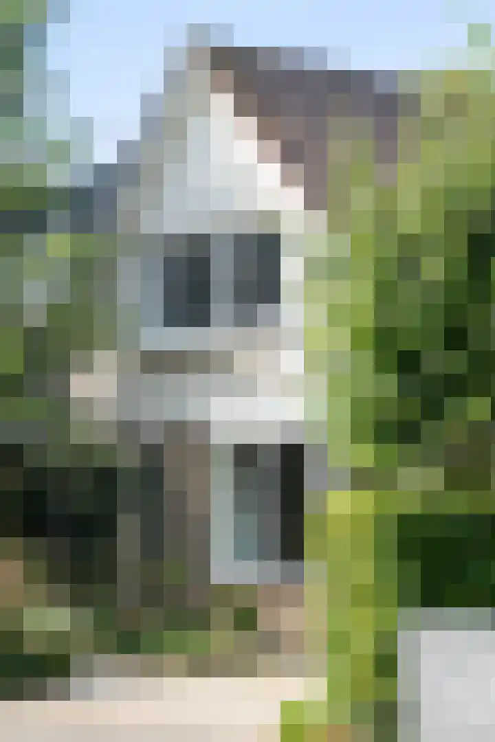 Van Beethovensingel 6 Barendrecht thumbnail 5