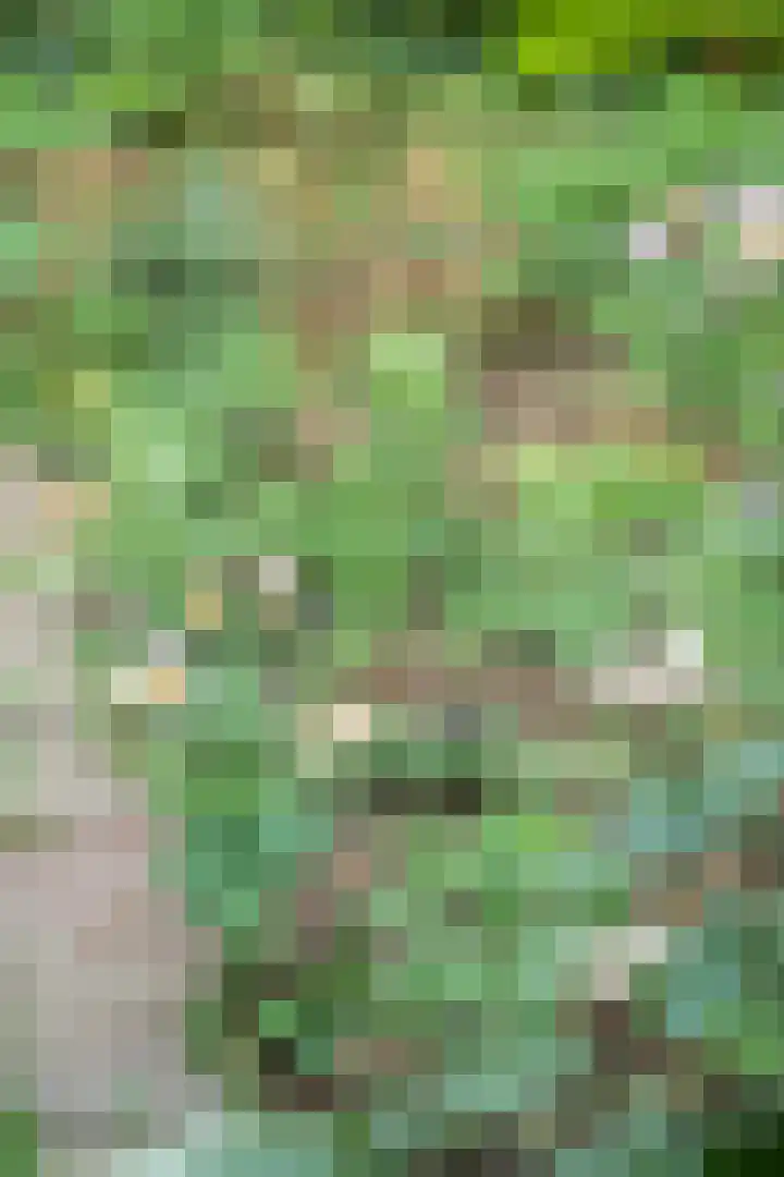 Van Beethovensingel 6 Barendrecht thumbnail 52