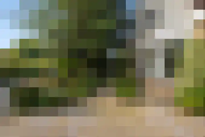 Van Beethovensingel 6 Barendrecht thumbnail 9