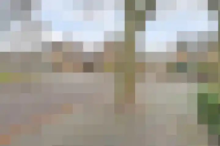 Van Beethovenstraat 1 Ridderkerk thumbnail 6