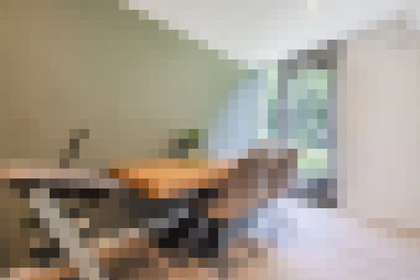 Van Beethovenstraat 1 Ridderkerk thumbnail 8
