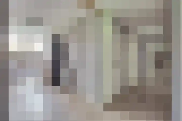 Van Beethovenstraat 1 Ridderkerk thumbnail 9