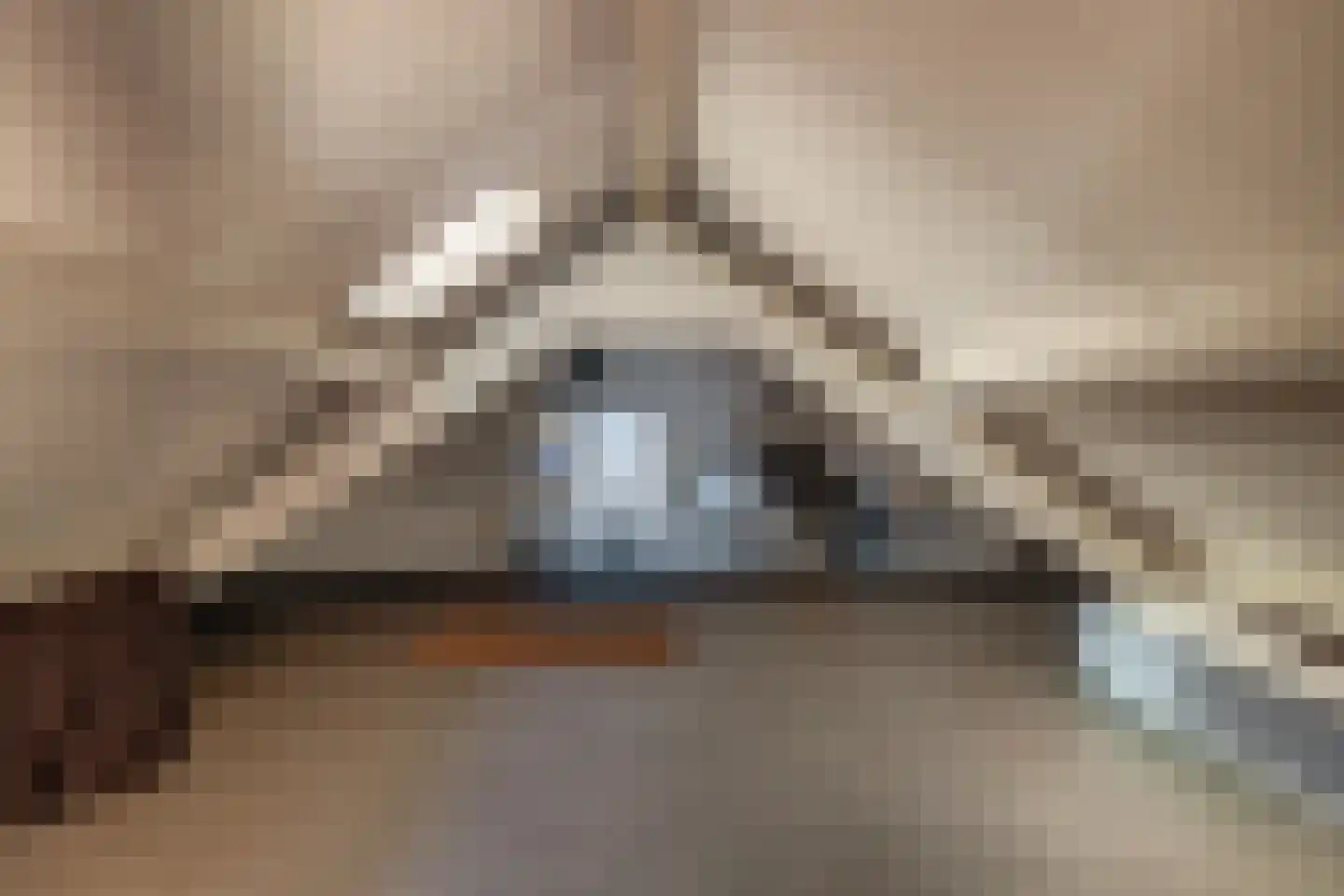 Van Beethovenstraat 1 Schijndel thumbnail 32