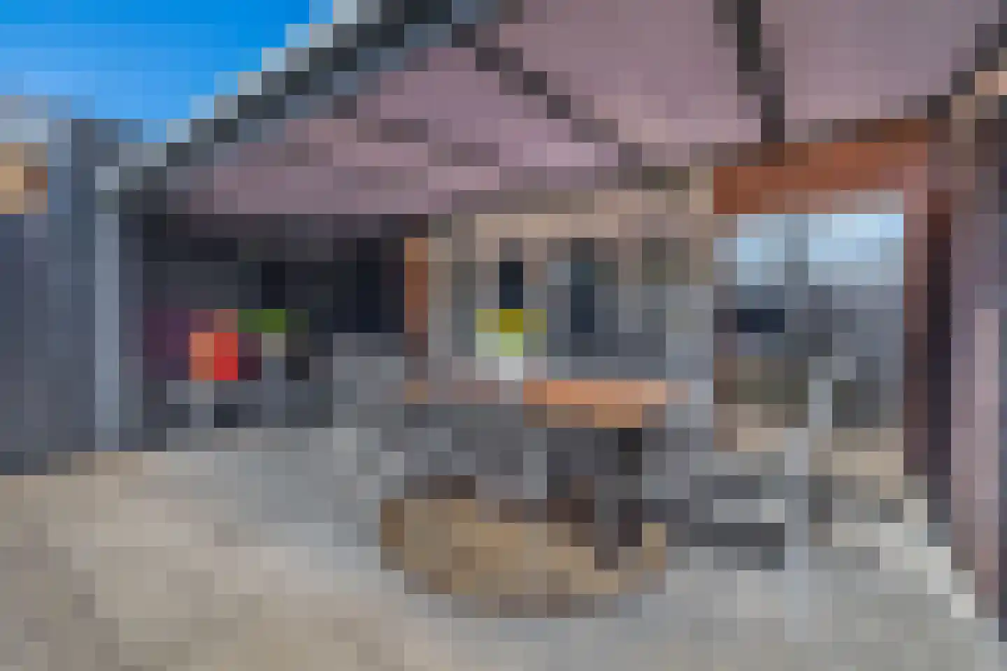 Van Beethovenstraat 1 Schijndel thumbnail 35