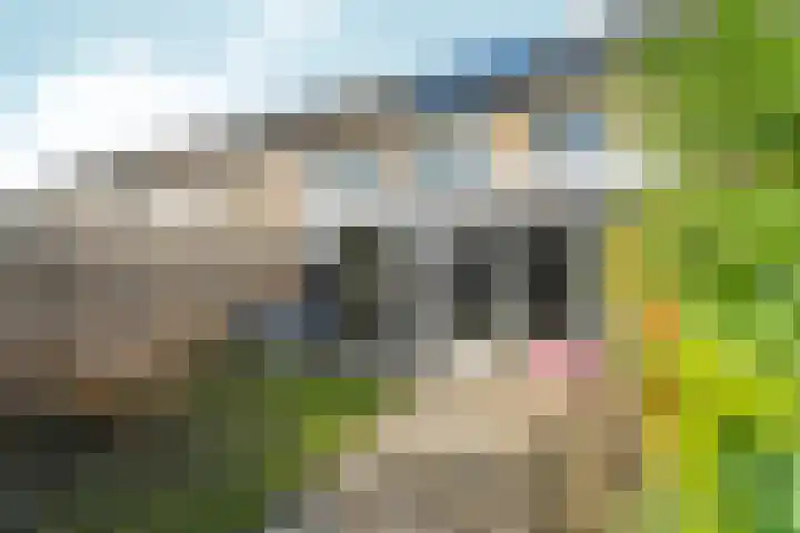 Van Beethovenstraat 14 Zevenaar thumbnail 5