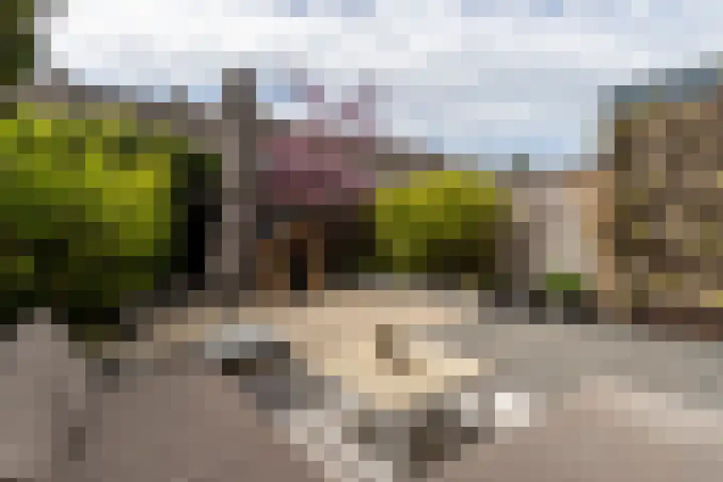 Van Beethovenstraat 20 Naaldwijk thumbnail 20