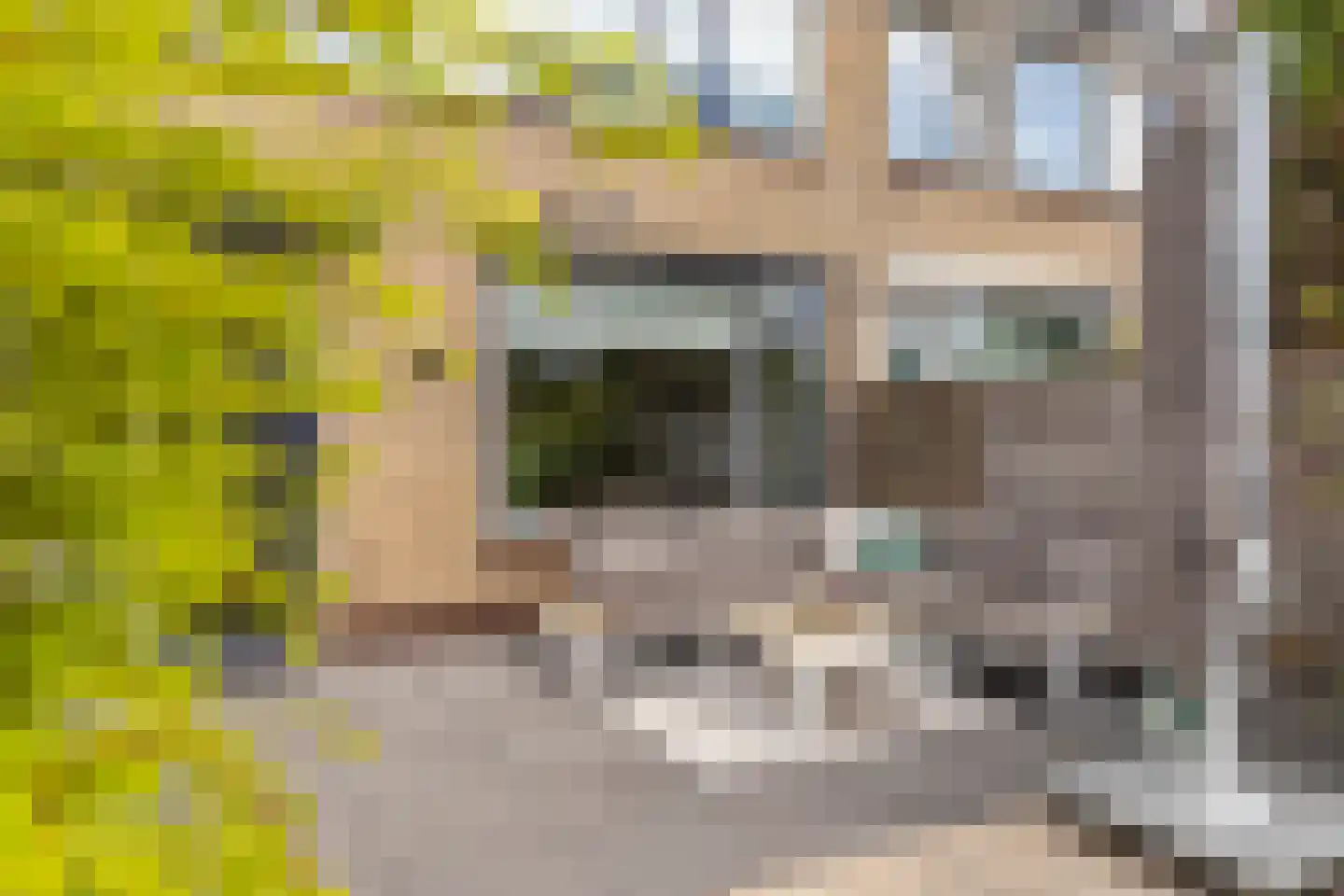 Van Beethovenstraat 20 Naaldwijk thumbnail 21