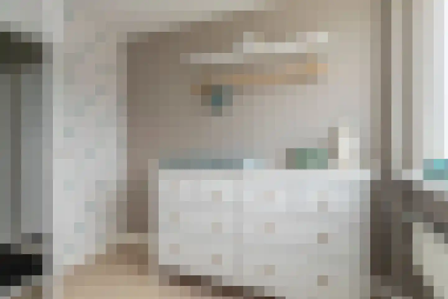 Van Beethovenstraat 20 Naaldwijk thumbnail 29
