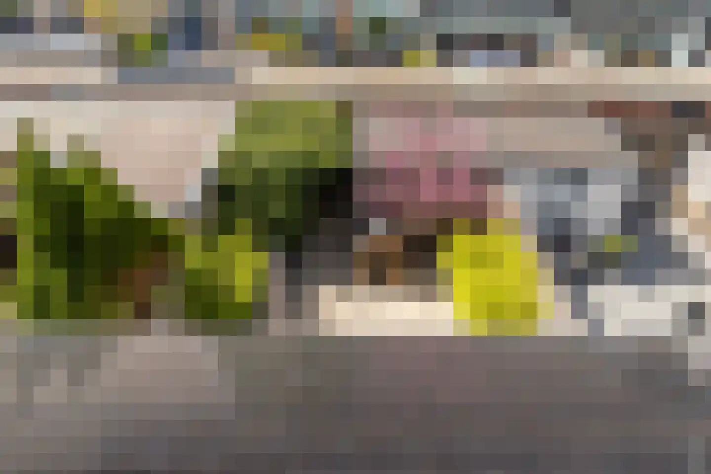 Van Beethovenstraat 20 Naaldwijk thumbnail 40