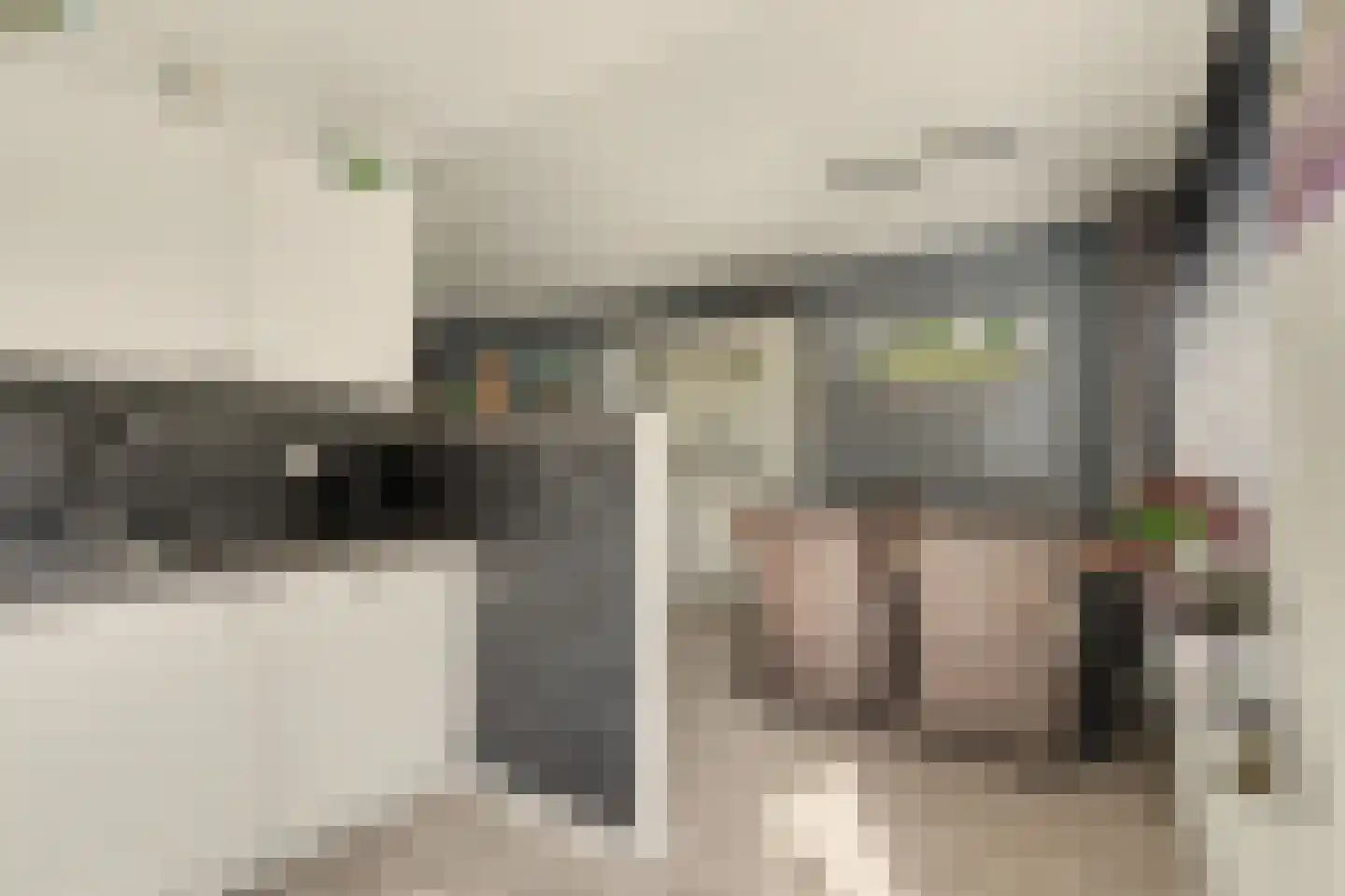 Van Beethovenstraat 23 Naaldwijk thumbnail 10